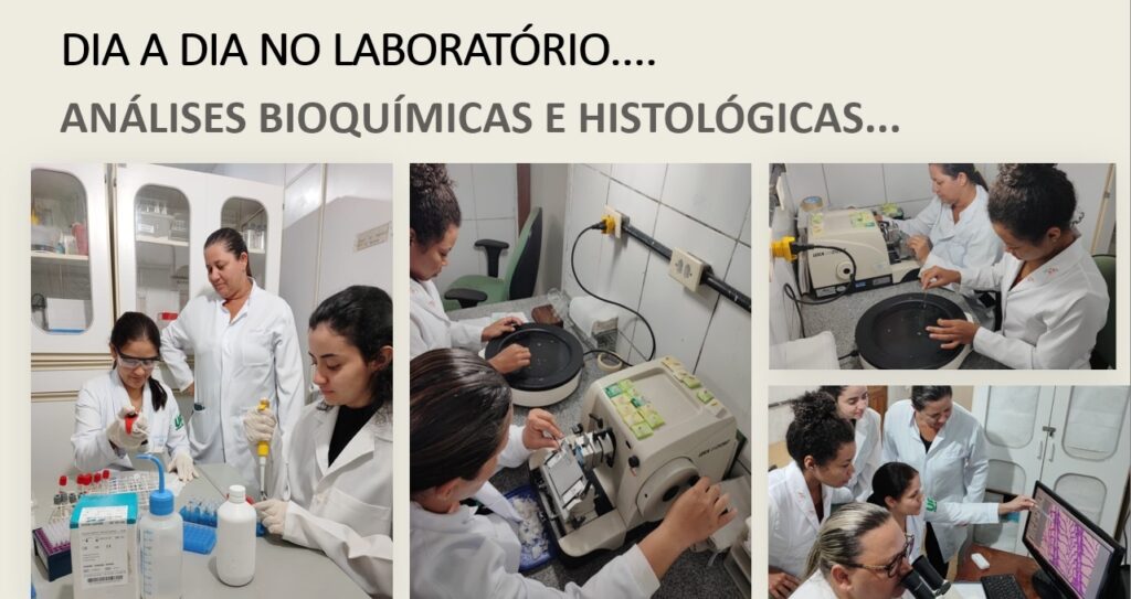 DIA A DIA DO LABORATORIO 2 1